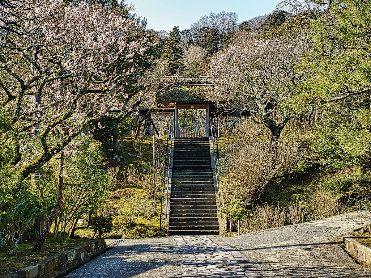 鎌倉コワーキングスペース