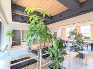 midpoint渋谷神泉_コワーキングスペース_緑