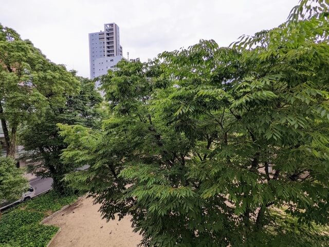 ワンストップビジネスセンター大阪本町の会議室からの景色
