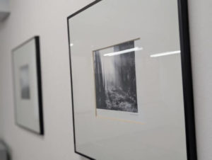 ワンストップビジネスセンター岡山店の会議室にあるアート