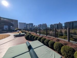 東京ミッドタウン日比谷　6階　パークビューガーデンからの日比谷公園の眺望