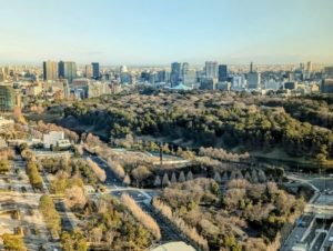 ワークスタイリング霞が関ビルディング　オープンスペースからの眺望　皇居方面