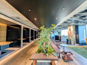 ワークスタイリング東京ミッドタウン(六本木) オープンスペース 開放的な気分でのソロワーク 思考の森エリア